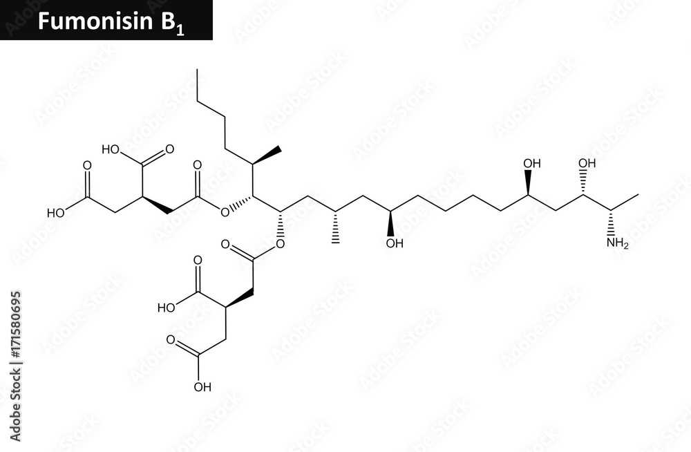 Molecular structure of Fumonisin B1 Molecular structure of Fumonisin B1