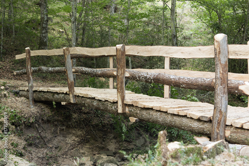 Wooden bridge in the forests