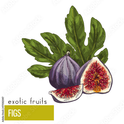 Figs, fruits with leaves.