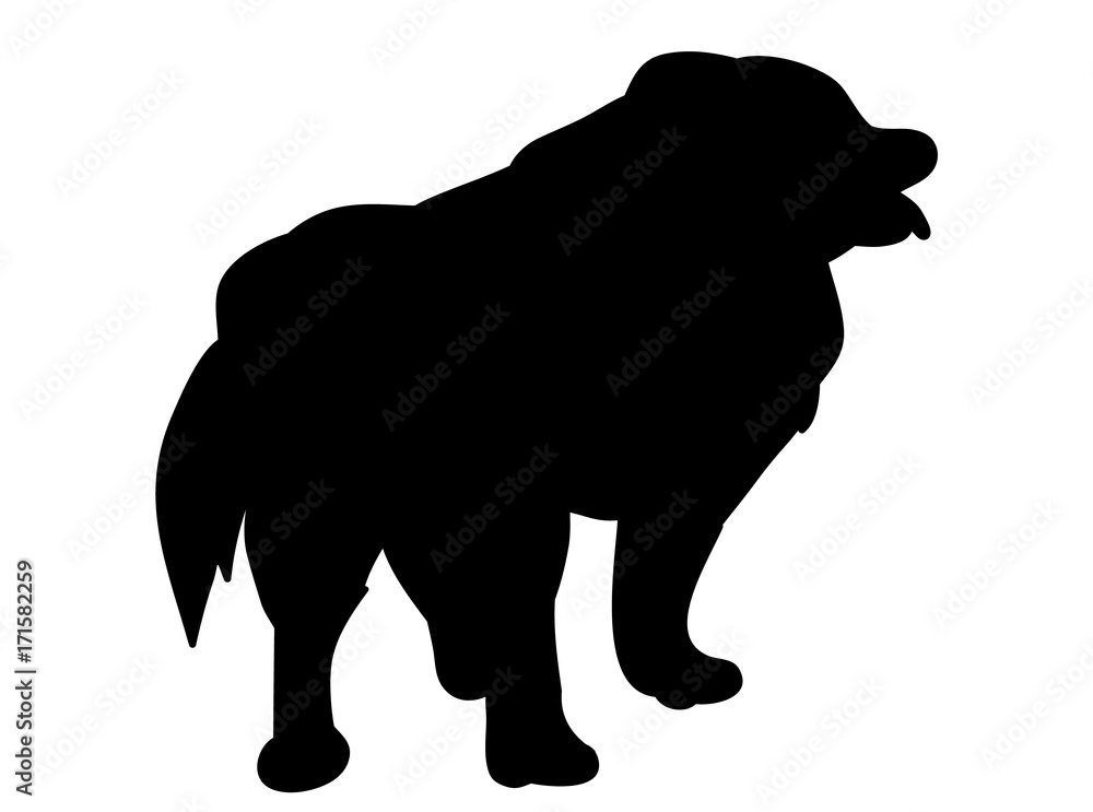 silhouette of a dog is standing silhouette of a dog is standing