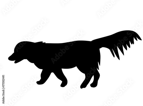 vector  isolated black silhouette of a dog