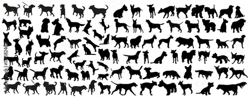 Obraz wektor, na białym tle czarna sylwetka psa, kolekcja