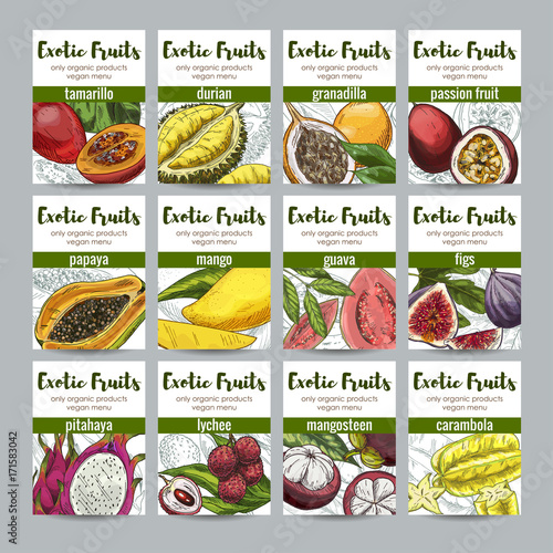 Set of 12 exotic fruits posters