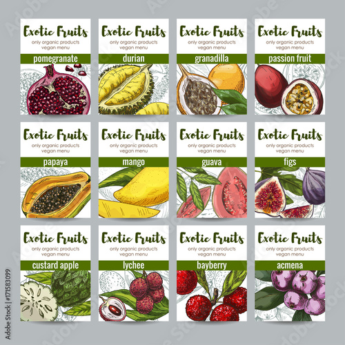 Set of 12 exotic fruits posters