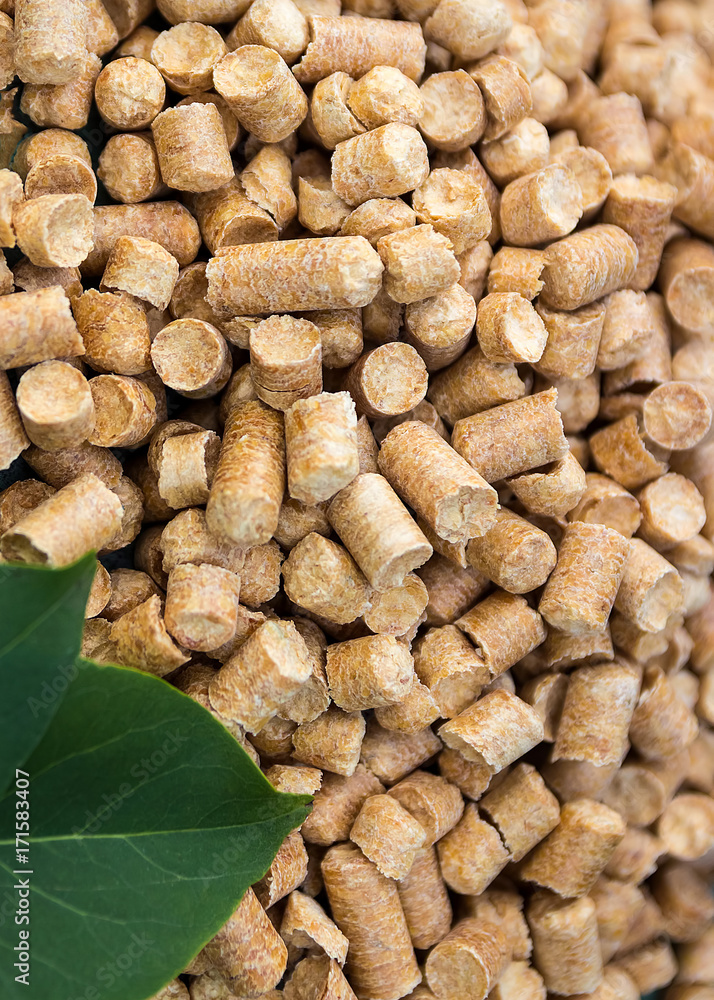 Wood pellets in the background. Biofuels. Cat litter. Wood pellets in the background. Biofuels. Cat litter.