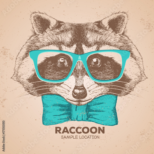 Hipster animal raccoon. Hand drawing Muzzle of animal  raccoon