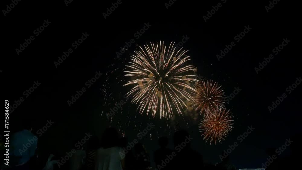 People watching large size fireworks explosion in the sky. With sound.
