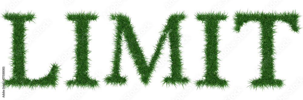 Limit - 3D rendering fresh Grass letters isolated on whhite background.