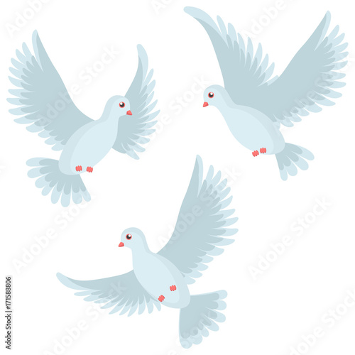 Vector illustration of beautiful shiny white dove flying way up. Vector illustration isolated on white background © anhut