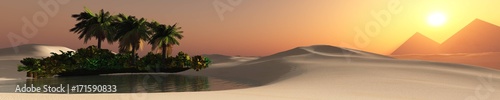 Oasis, desert landscape, lake with palm trees in the sands   © ustas