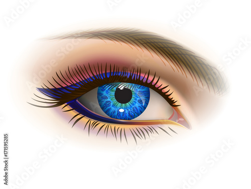 Female blue eye/ Blue female eye and makeup. Realistic vector image