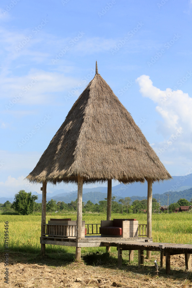 Rice fields with stunning mountain back drop. Rice fields with stunning mountain back drop.