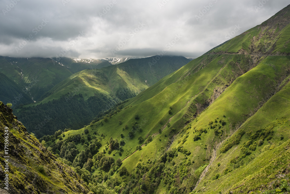 Fototapeta premium Mountain pass in Georgia in summer. Abano pass in the Caucasus mountains.Landscape of mountain hills.