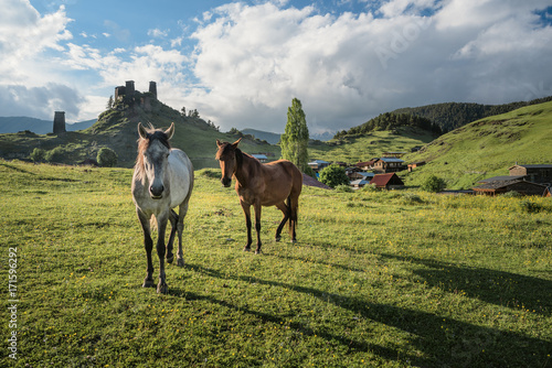 Two horses at a mountain valley at unset. Georgian defensive towers at the background. Sun lightens horses. Landscape of a mountain valley with green grass. Traditional architecture in Georgia