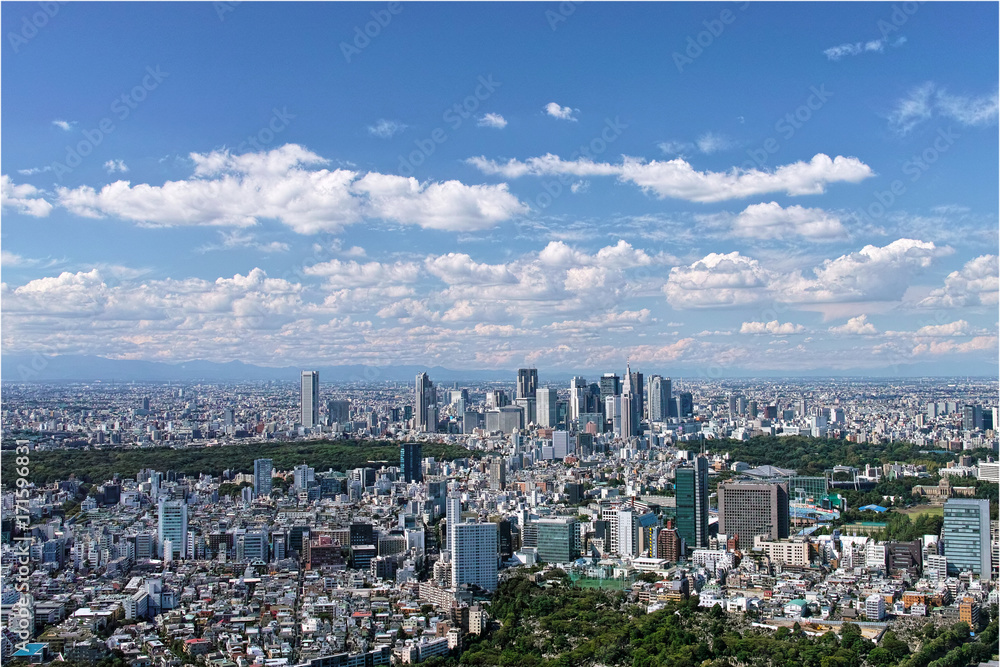 Tokyo City View-1