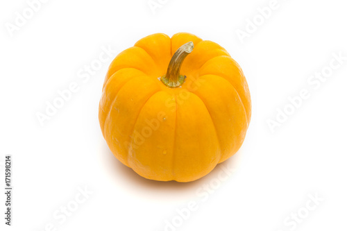 pumpkin white background ,halloween  isolated.