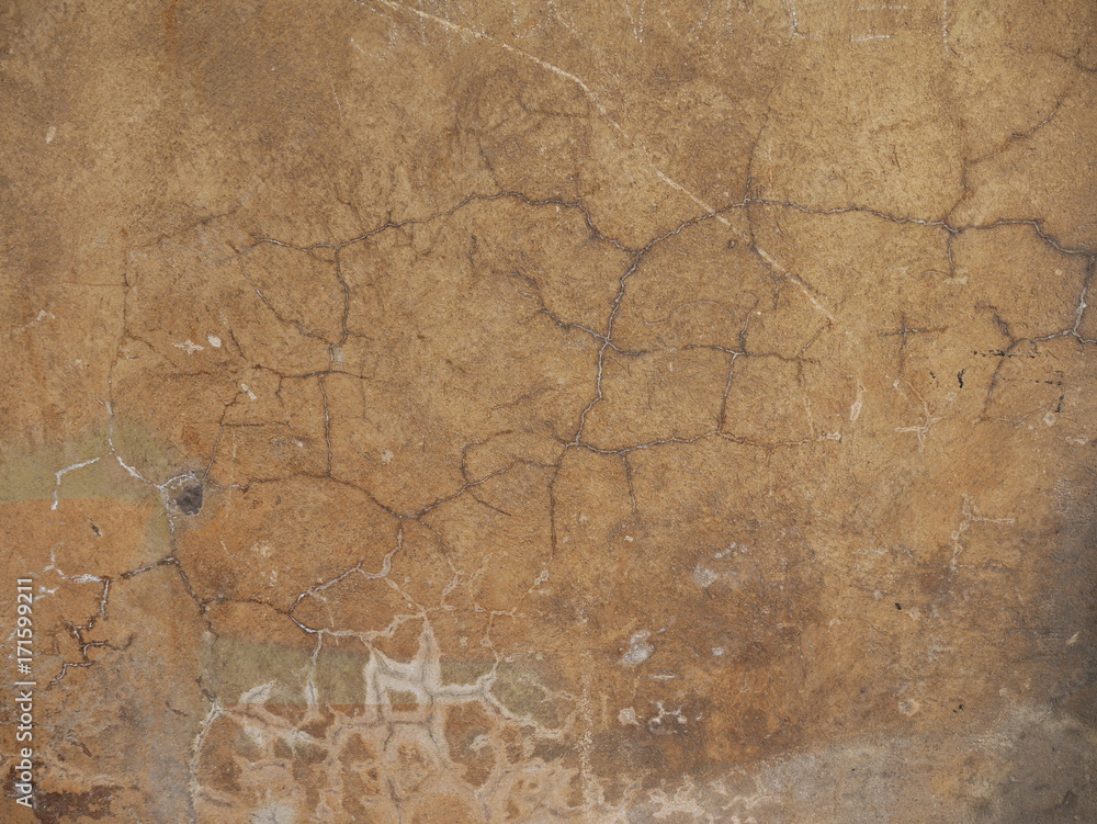 Fototapeta premium texture