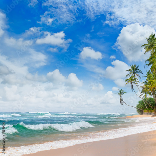 beach and tropical sea