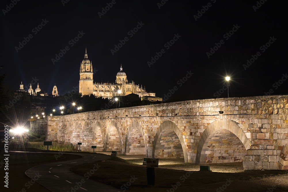 Night view of Salamanca Old and New Cathedrals from Roman Bridge over Tormes River, Community of Castile and Leon, Spain.  