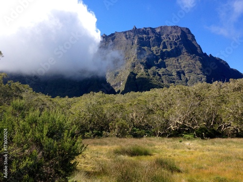 Plaine des tamarins, Ile de La Réunion 