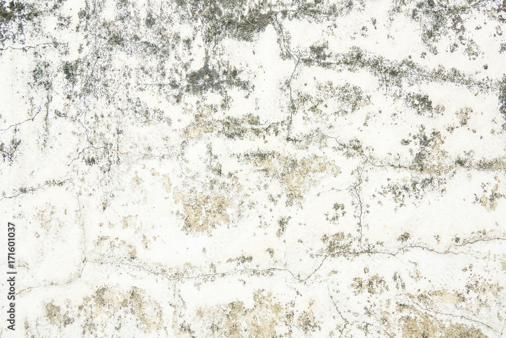 Obraz premium Cracked surface cement wall background