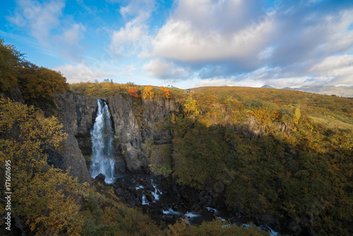 Beautiful Autumn at Skaftafell national park in Iceland  The way to visit Svartifoss waterfall. 