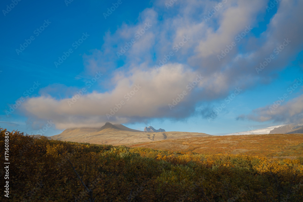Beautiful Autumn at Skaftafell national park in Iceland, The way to visit Svartifoss waterfall. 