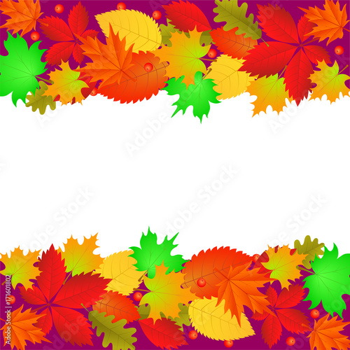 Vector drawing frame from autumn different leaves. Oak, maple orange leaves