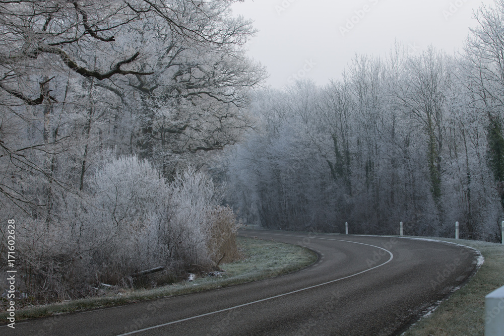 Fototapeta premium Route Hiver