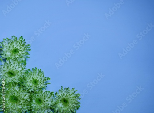 green flowers on blue wooden base