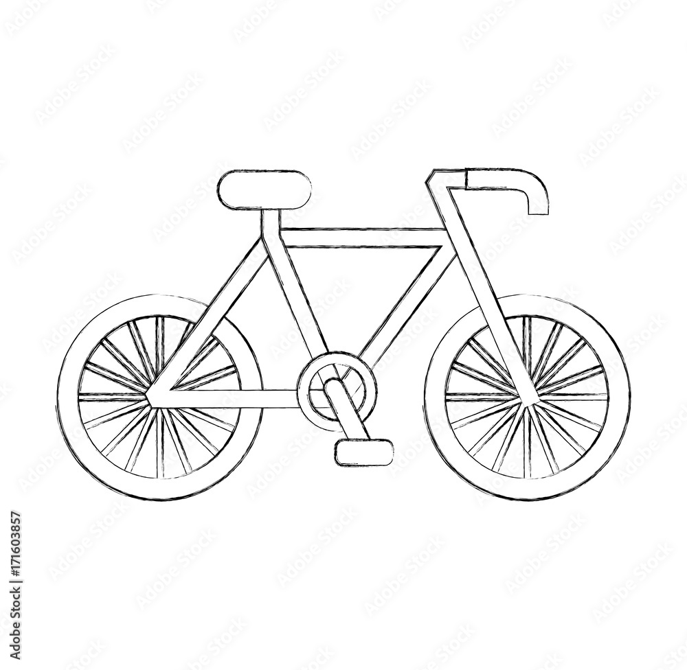 bicycle transport ecology vehicle traditional vector illustration