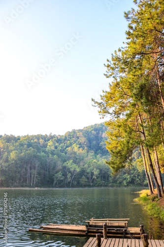 Beautiful nature of long pine trees trunks landscapes with bamboo boat and lake at Pang Ung in Mae Hong Son, Thailand.