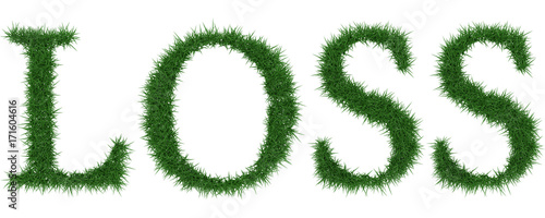 Loss - 3D rendering fresh Grass letters isolated on whhite background.
