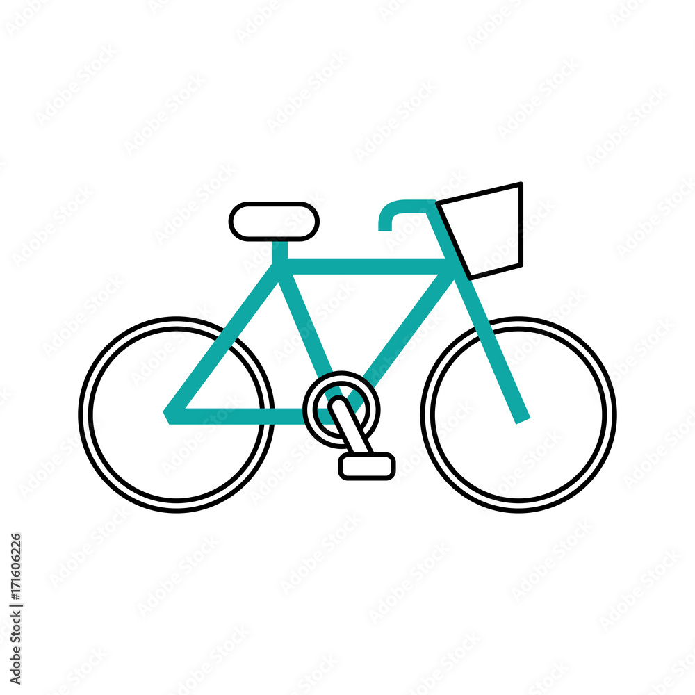 bicycle transport ecology vehicle traditional vector illustration