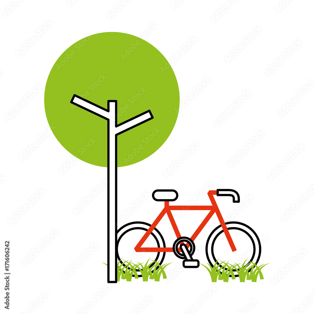 tree bicycle natural foliage park plant vector illustration tree bicycle natural foliage park plant vector illustration