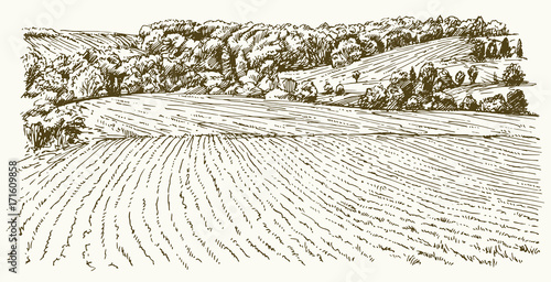 Agricultural landscape. Hand drawn illustration.