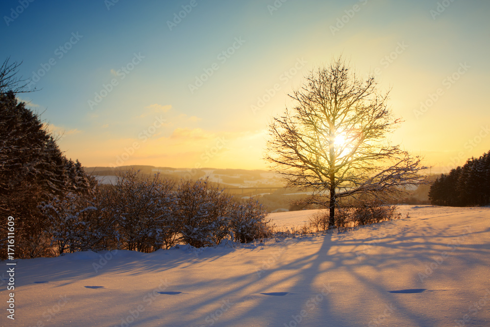 Winter sunset landscape with tree. Winter sunset landscape with tree.