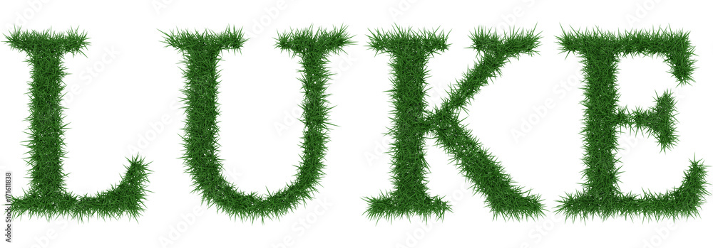 Luke - 3D rendering fresh Grass letters isolated on whhite background. Luke - 3D rendering fresh Grass letters isolated on whhite background.