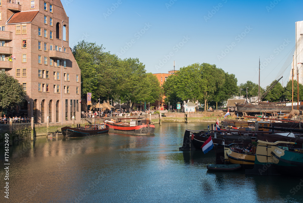 Fototapeta premium Landscape in Rotterdam Netherlands