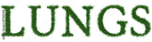 Lungs - 3D rendering fresh Grass letters isolated on whhite background.