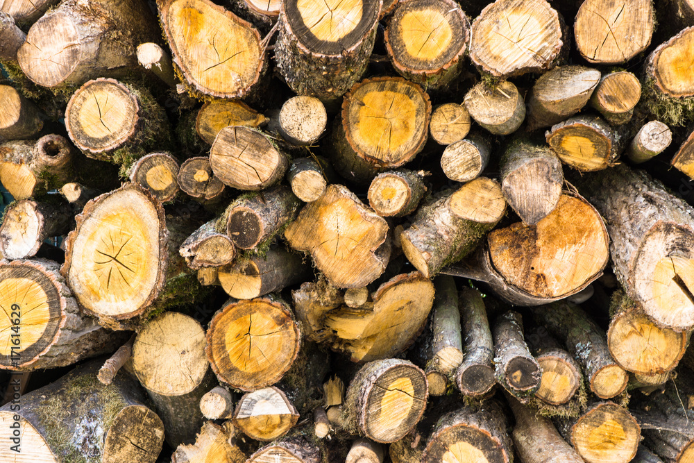 holz stücke hintergrund struktur holz stücke hintergrund struktur