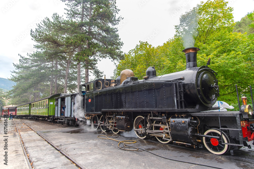 Naklejka premium Parowy pociąg sosnowy