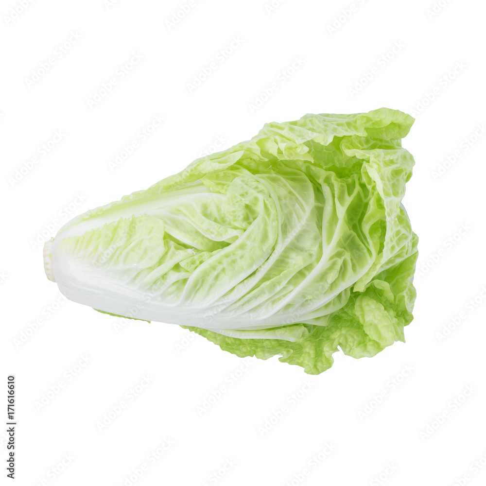 fresh chinese cabbage isolated on a white background fresh chinese cabbage isolated on a white background