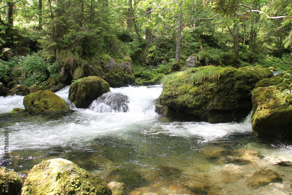 Obraz premium Flusslauf