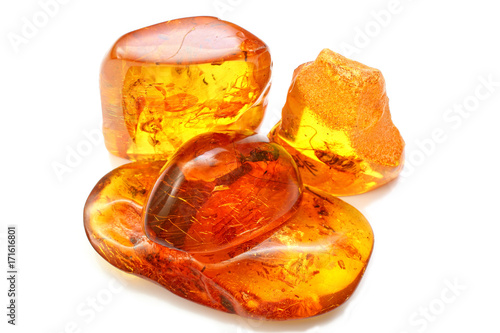 Papier peint four pieces of amber with different inclusions,  beetle,  fly,  mosquito,  ant,  larva