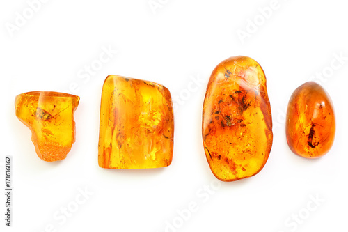 Valokuva four pieces of amber with different inclusions, beetle, fly, mosquito, ant, larva