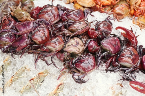 Fresh crab at the market photo