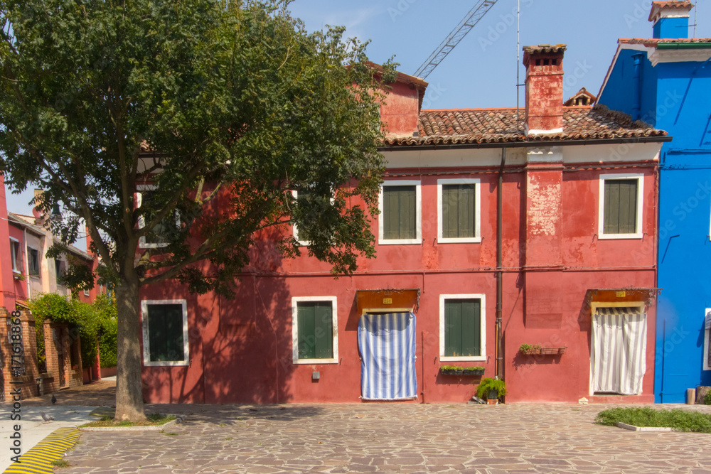 Casa colorata con albero a Burano