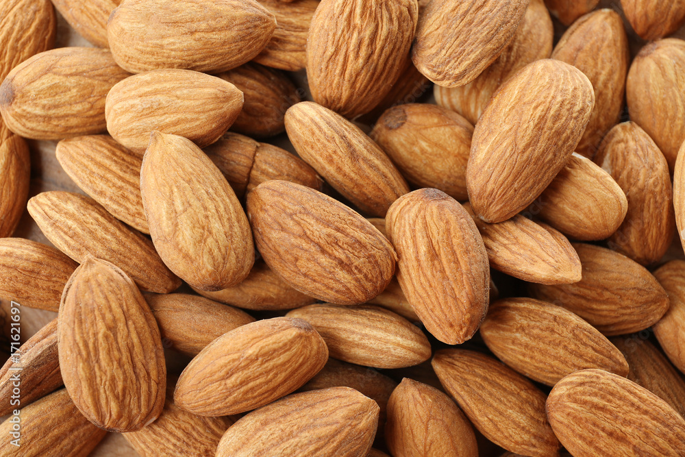 Apricot kernels, close up Apricot kernels, close up
