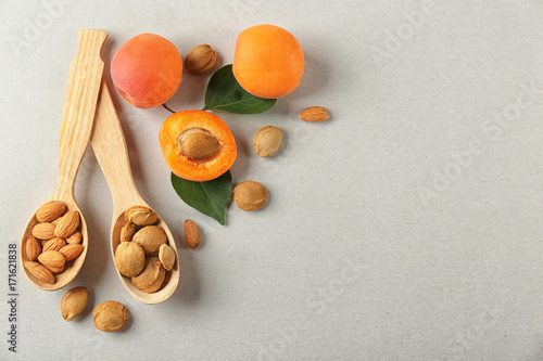 Composition of apricots and wooden spoons with kernels on light background